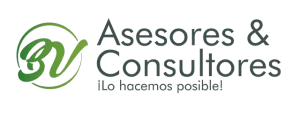 Logo_Bv_Asesores-Sin-fondo